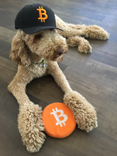 Load image into Gallery viewer, Bitcoin Baseball Snapback Cap Black/Orange
